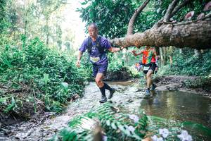 BIB: 
                            <button type="button" onclick="openModal(25446350)" class="btn btn-primary btn-sm float-right btn-popup" data-toggle="modal" data-target=".modal-high-quality">
                        <i class="fas fa-shopping-cart"></i> Add to Cart
                    </button>
                                            <button type="button" onclick="isThisMe(25446350, true)" class="btn btn-success btn-sm float-right btn-popup btn-isme hidden" data-toggle="tooltip" data-placement="bottom" title="นี่คือรูปของคุณใช่ไหม คลิกที่นี่เพื่อเอาเข้าอัลบั้ม">
                        <i class="fas fa-plus"></i> Add to album
                    </button>
                    <button type="button" onclick="isThisMe(25446350, false)" class="btn btn-warning btn-sm float-right btn-popup btn-isnotme hidden">
                        <i class="fas fa-ban"></i> Remove from album
                    </button>